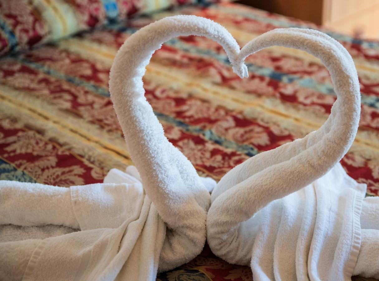 Single Room with Sea View,1073699485:JPEG